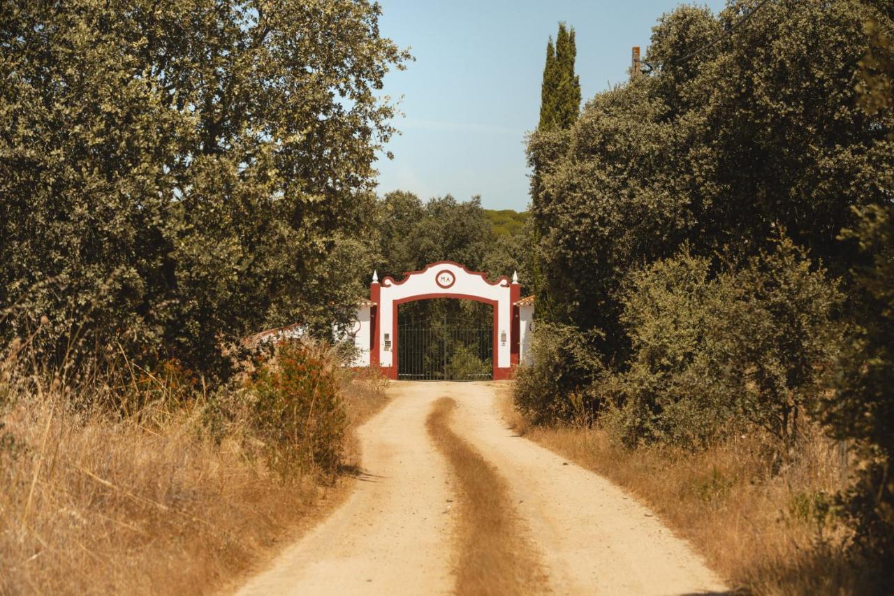 Moinho Do Alamo Ξενοδοχείο Montemor-o-Novo Εξωτερικό φωτογραφία